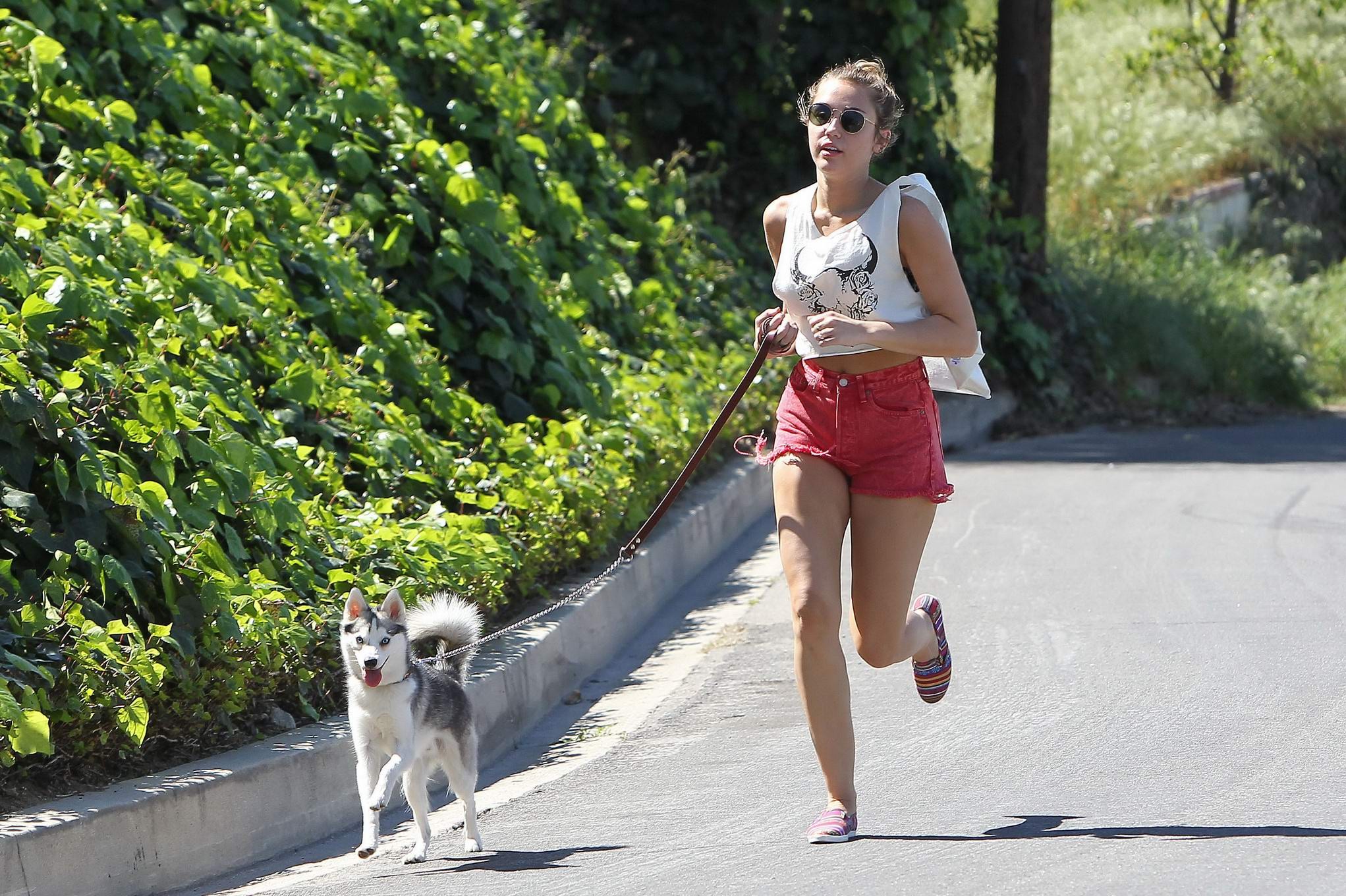 Miley Cyrusが赤いホットパンツを履いて犬のように走る姿
 #75271644