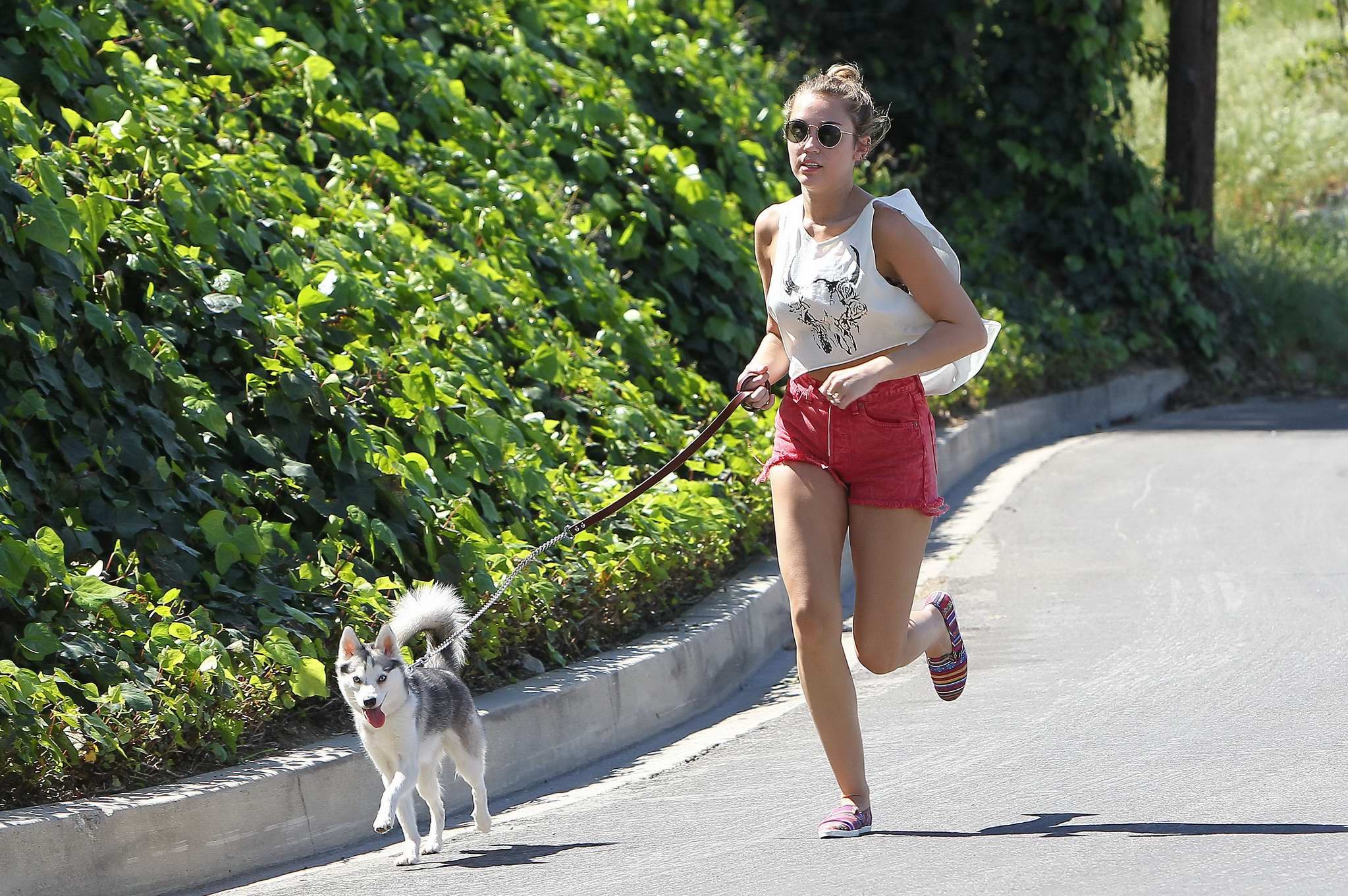 Miley Cyrusが赤いホットパンツを履いて犬のように走る姿
 #75271655