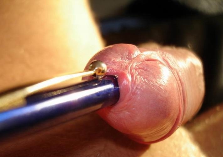 Extremely Insertions In Penis #72145617