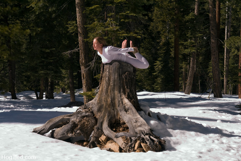 Amber an einen Baum gefesselt, Nina durch den Schnee geschleift und auf einem Baumstumpf gefickt
 #72158612