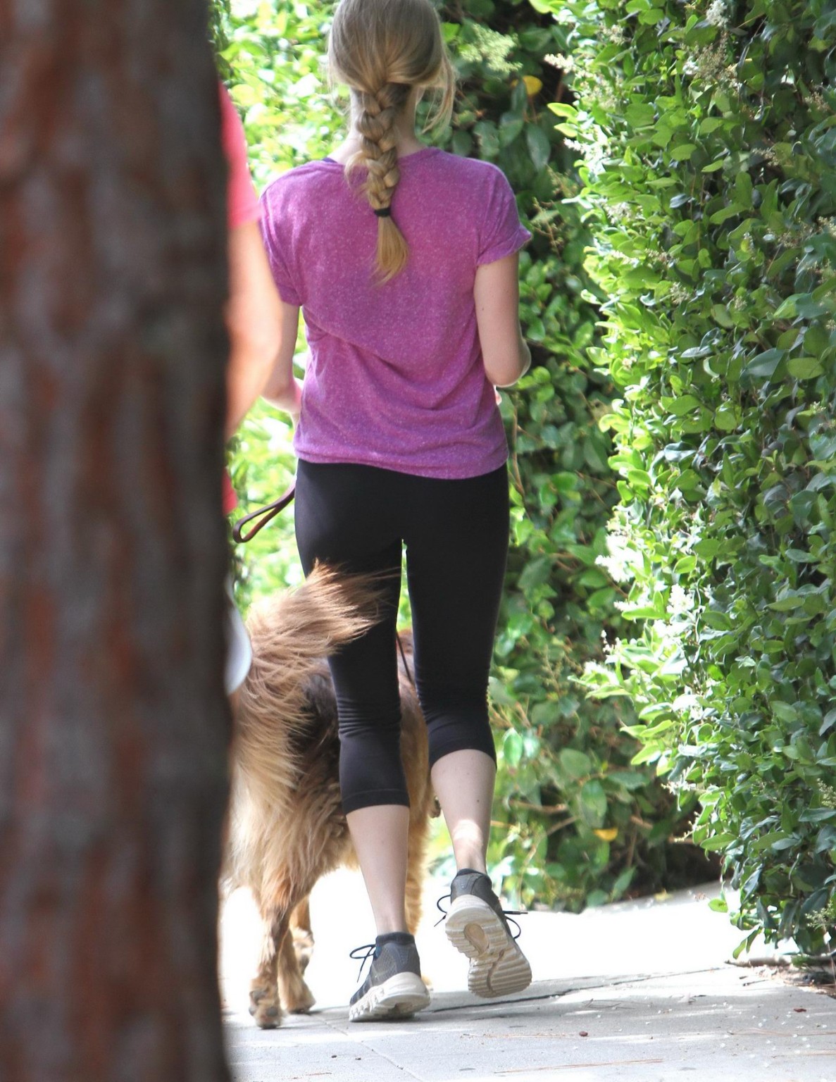 Amanda Seyfried shows her ass in black tights while hiking Runyon Canyon in Cali #75258017