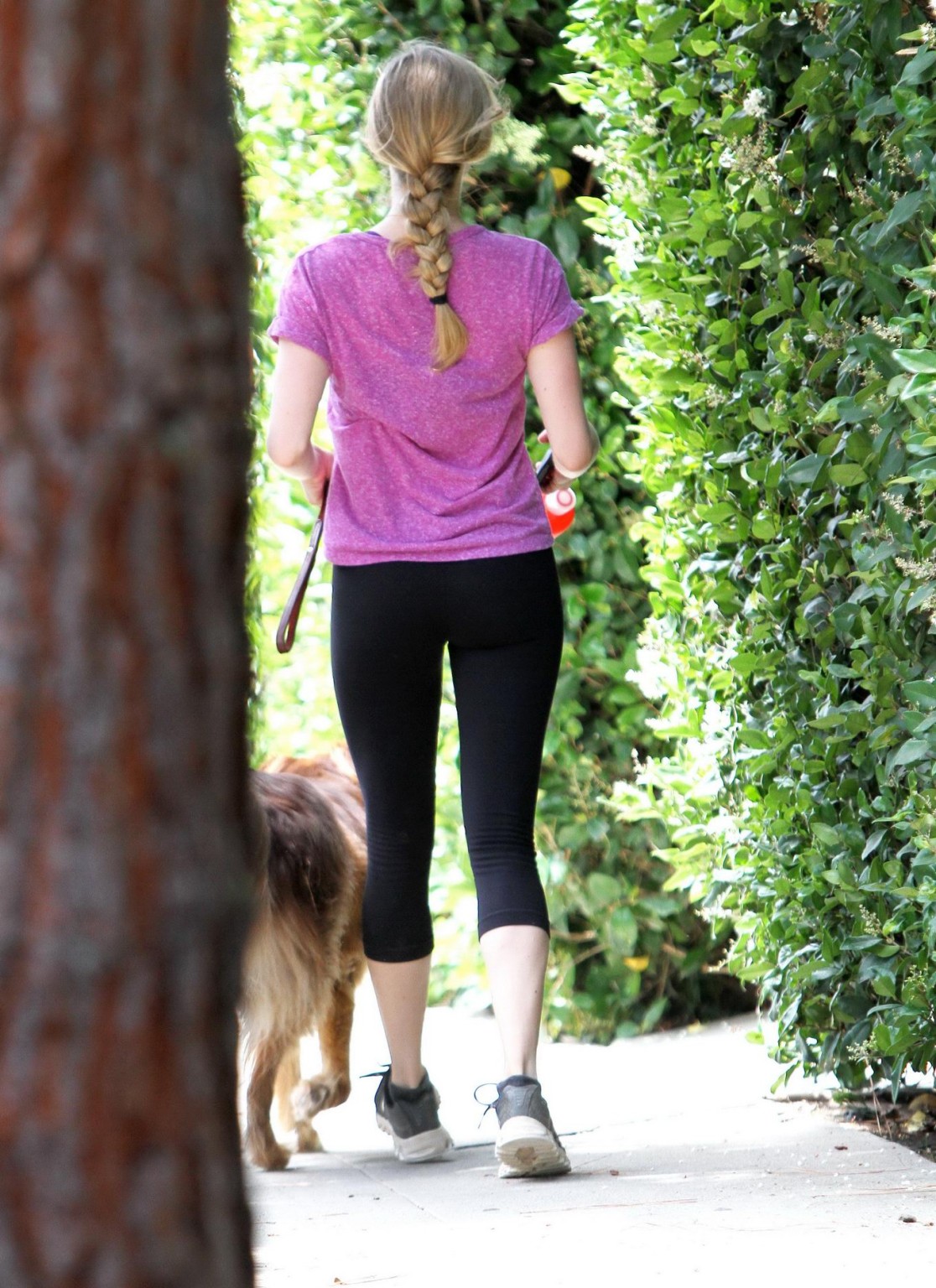 Amanda Seyfried shows her ass in black tights while hiking Runyon Canyon in Cali #75258029