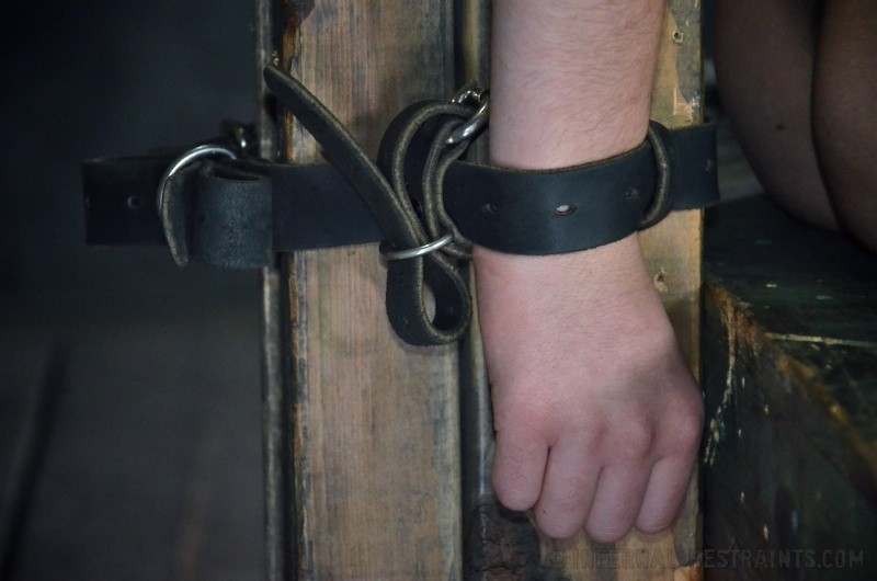 Haley Rue curly piercing brunette is bound in leather straps #71963702