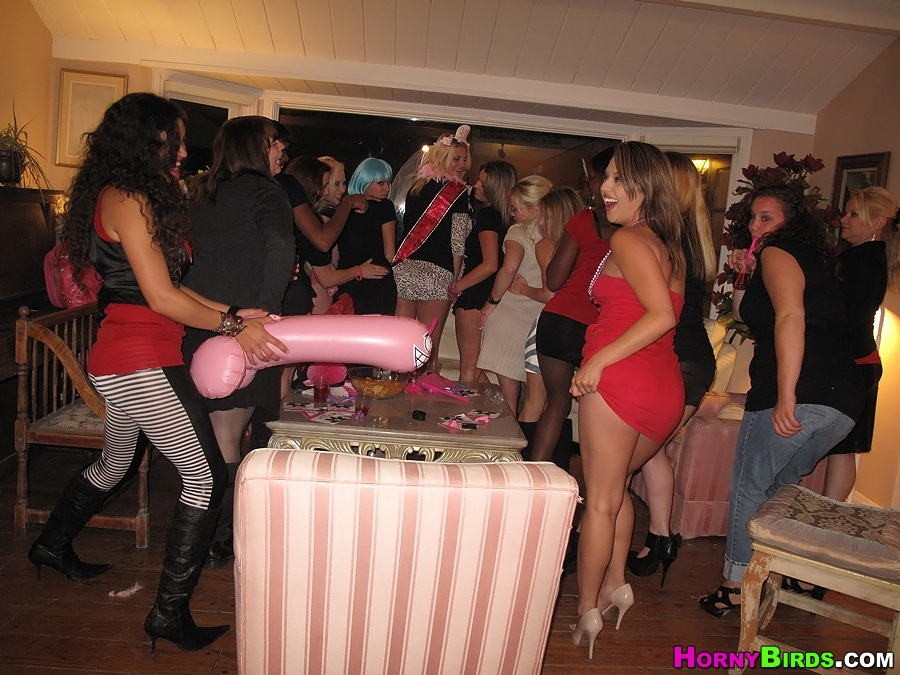Big cock blowjobs at drunk CFNM bachelorette party #73238432
