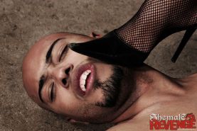 Shemale Mistress Gallery - Sadistic shemale mistresses dominate their slave Porn ...