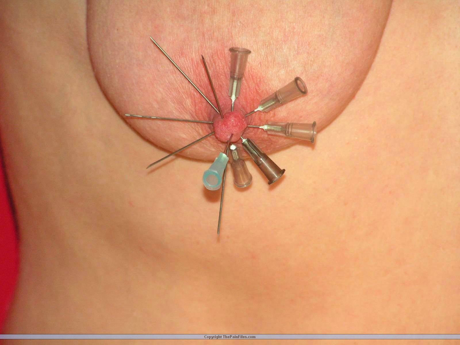 素人レズビアンの針の痛みとメルカリによる過激な縛り乳首ピアスの刑
 #72113874