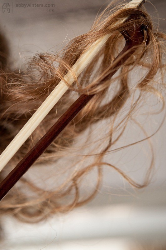 ヘアー・アマチュア・イルミナ
 #77287540