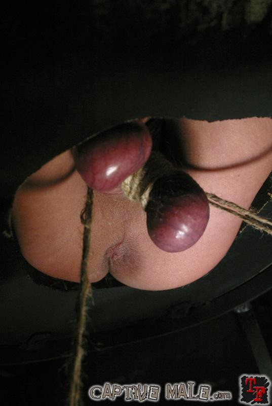 Mistress Harmony Rose will take slave man to feminine domination #72160553