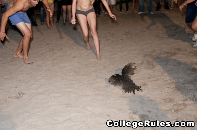 College girls were drunk then gives every men sloppy blowjob #74494206