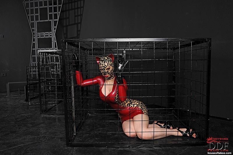 Latex Lucy gorgeous cat women in cage is sucking black cock #72048731