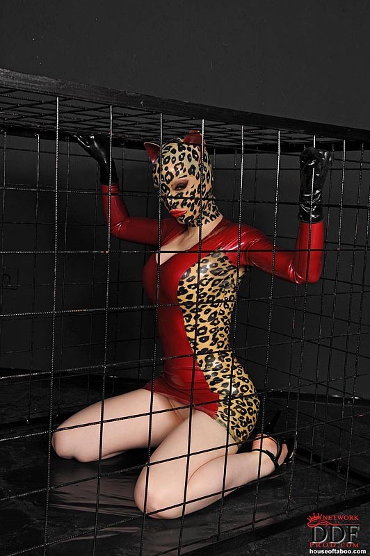 ラテックスのルーシーは、檻の中でゴージャスな猫の女性が黒いコックを吸っている。
 #72048737