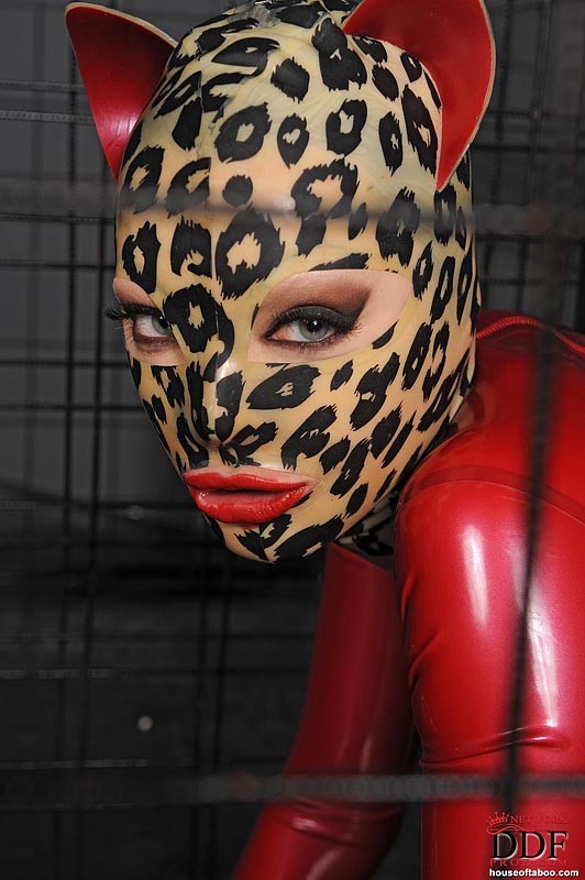 Latex Lucy gorgeous cat women in cage is sucking black cock #72048752