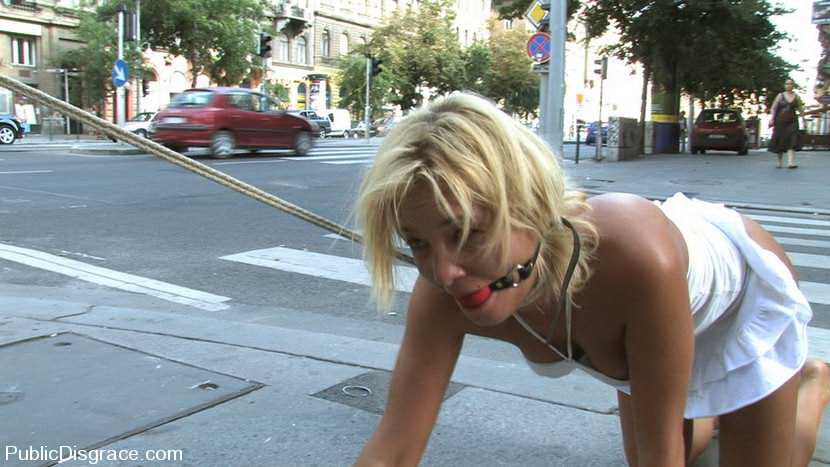 Rubia siendo obediente en bondage y follada al aire libre
 #72107692