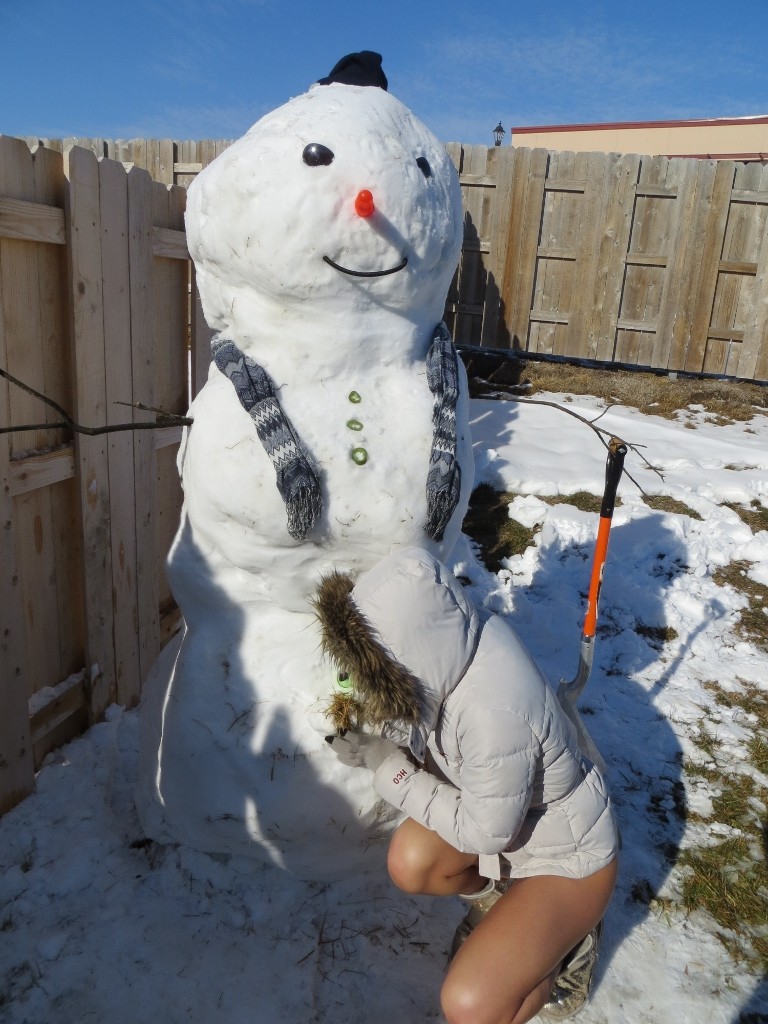 Amateur midwest teen saugt einen Schneemann draußen
 #67422032