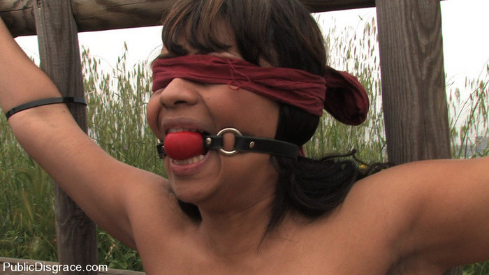 Zorra dominada en público como un perro por su amo
 #72181693