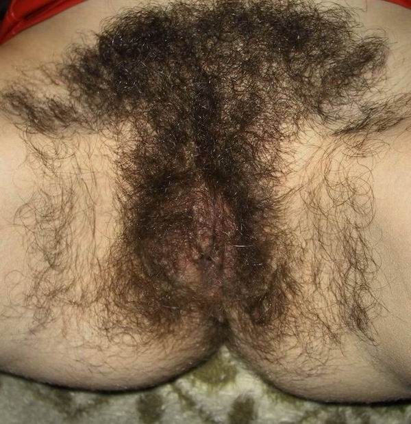 very hairy amateur poser #67650913
