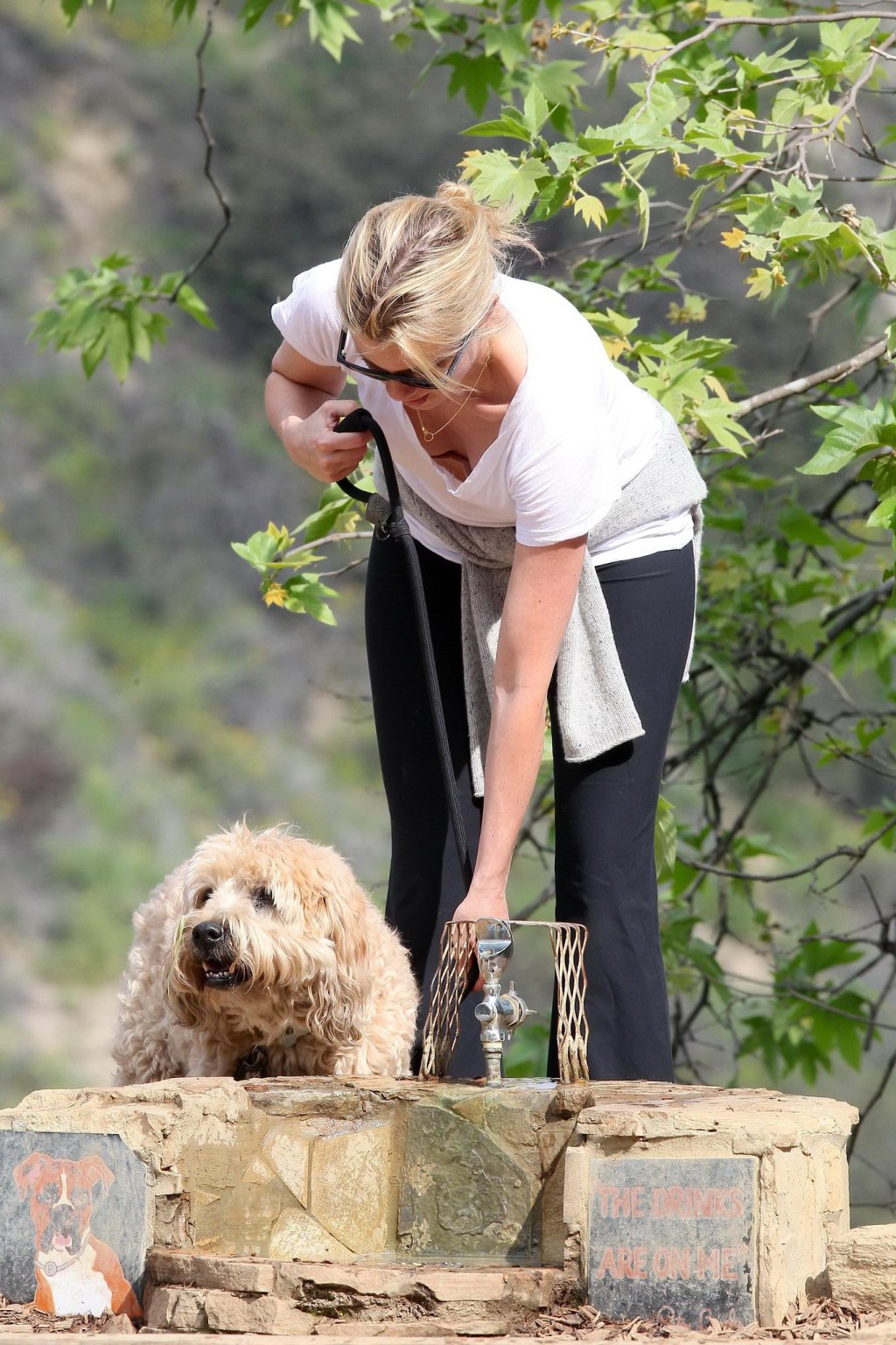 Amy smart downblouse en promenant son chien dans un parc à beverly hills
 #75171905