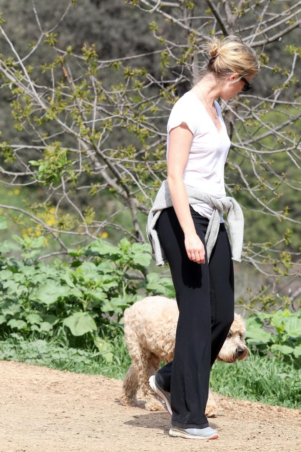 Amy smart downblouse en promenant son chien dans un parc à beverly hills
 #75171927
