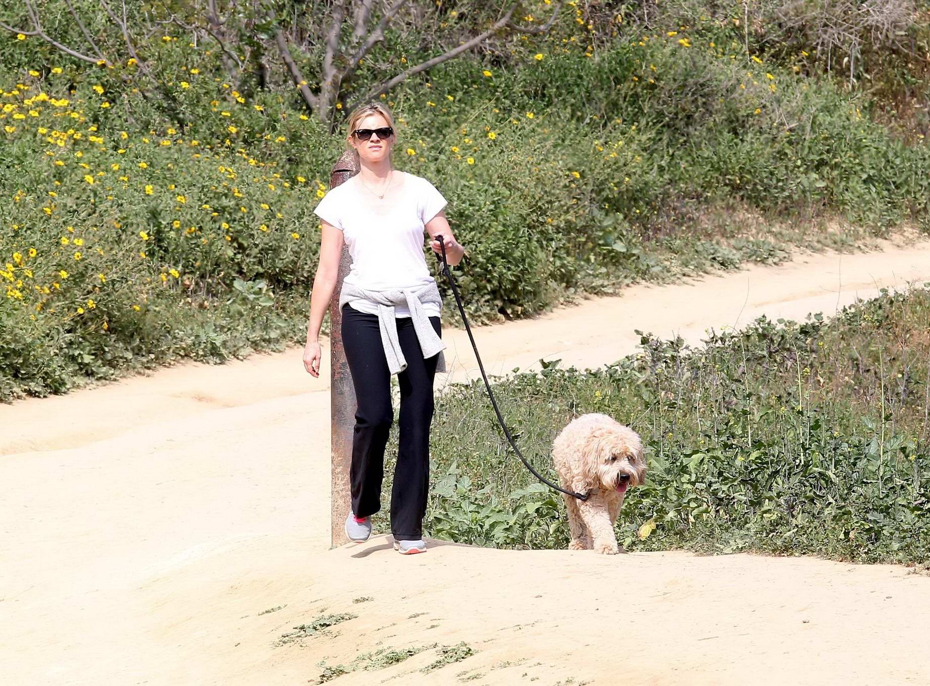 Amy smart downblouse en promenant son chien dans un parc à beverly hills
 #75171942