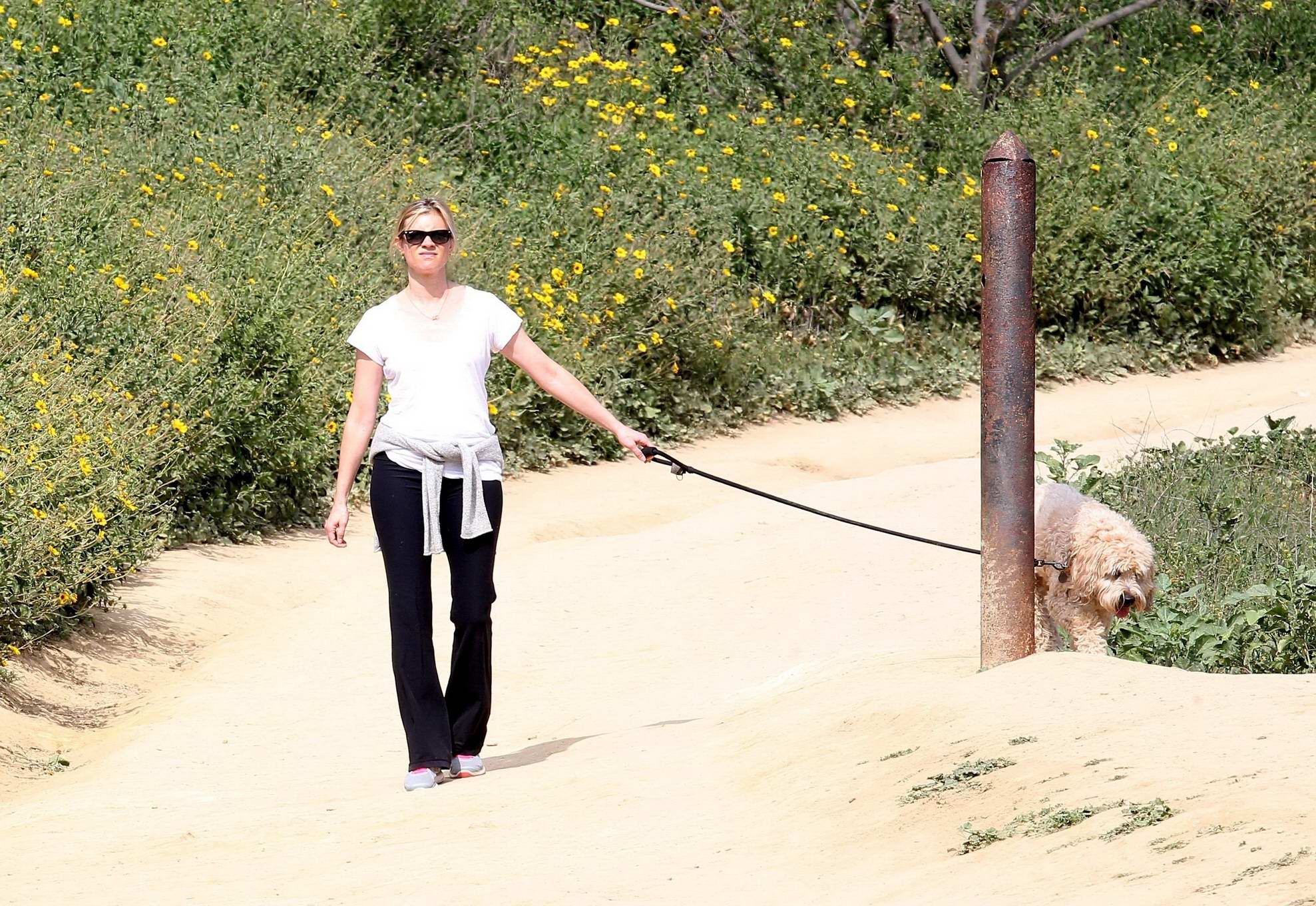 Amy Smart downblouse while walking her dog at a park in Beverly Hills #75171953