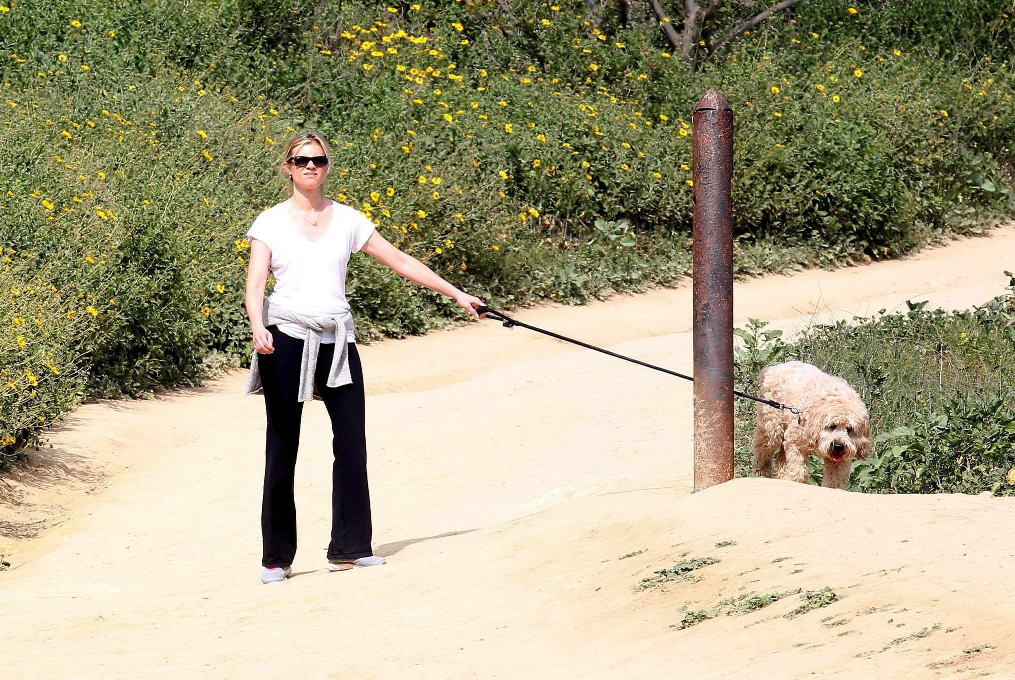 ビバリーヒルズの公園で犬の散歩をしているエイミーのスマートなダウンブラウス
 #75171960