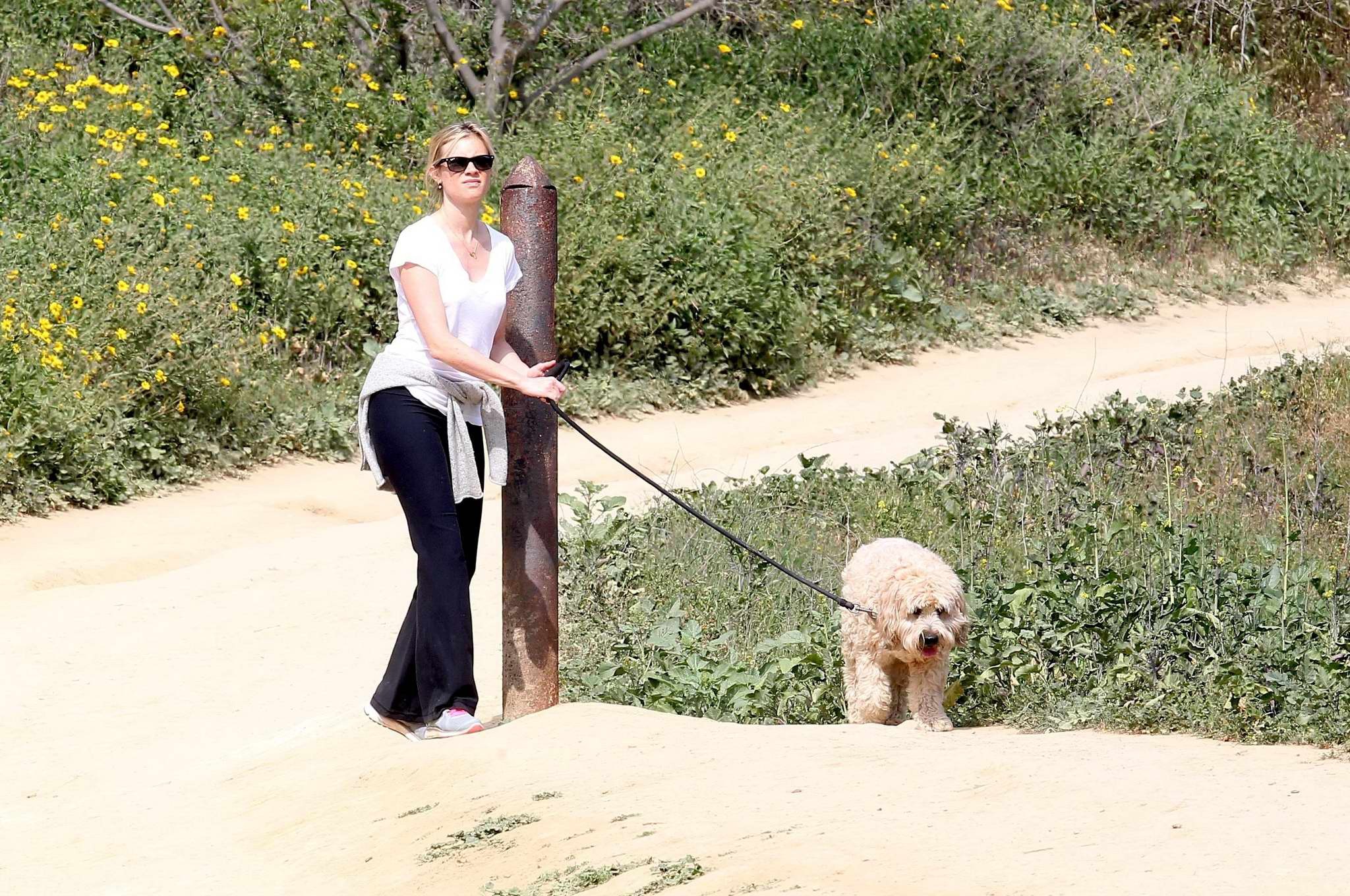 Amy intelligente downblouse mentre a piedi il suo cane in un parco in beverly hills
 #75171970