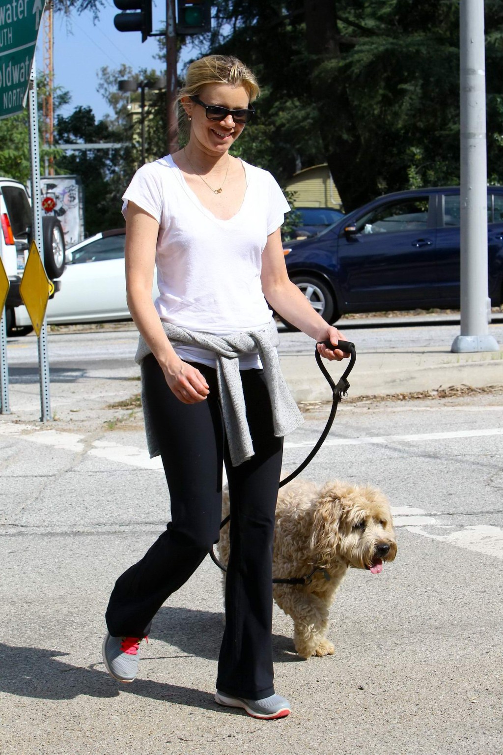 Amy Smart downblouse while walking her dog at a park in Beverly Hills #75171994