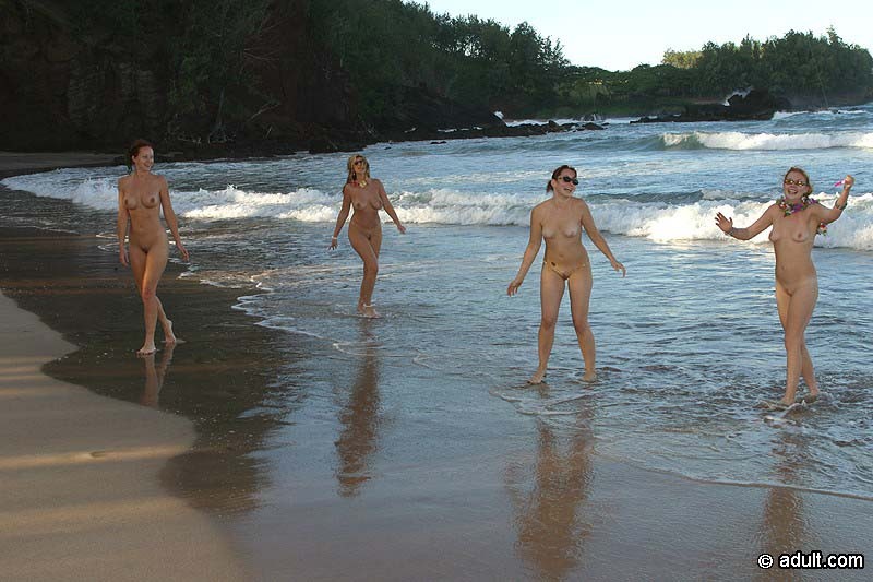 Four naked babes fly a kite #72321077