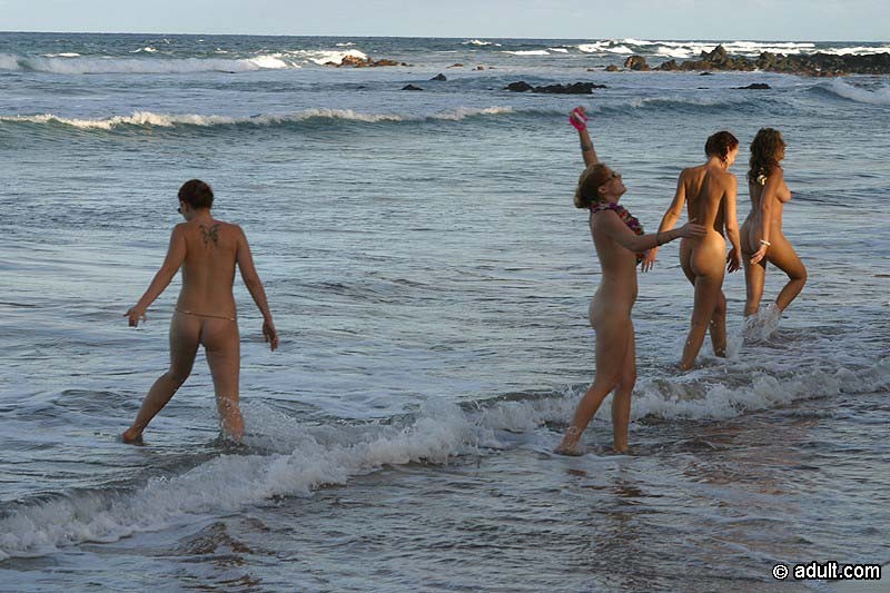 Four naked babes fly a kite #72321098