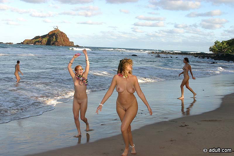 Four naked babes fly a kite #72321115