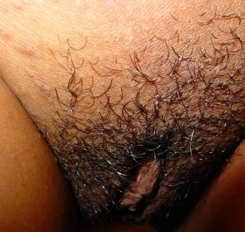 Hairy pussy gfs posing and fucking #67833479