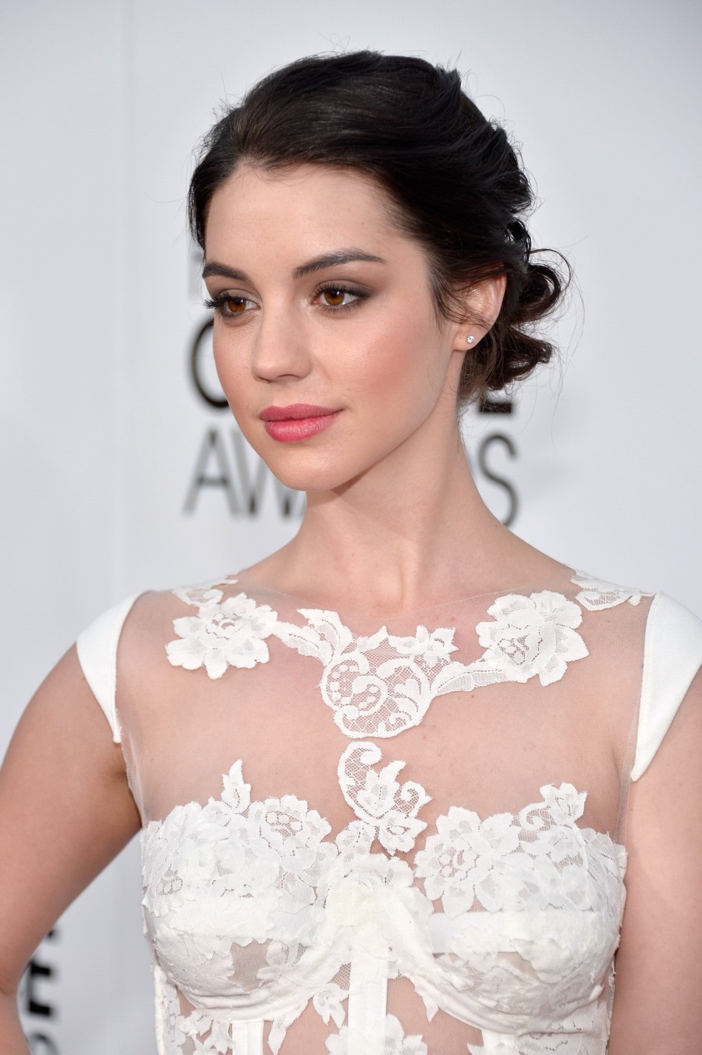 Adelaide Kane braless wearing a partially see through dress at the 40th annual P #75207658