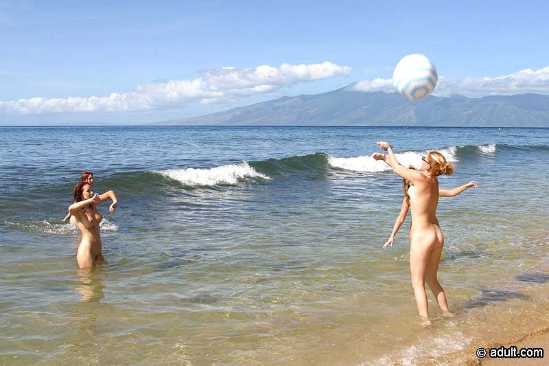 Four beautiful bikini dykes having lots of fun on a sunny beach #72319986