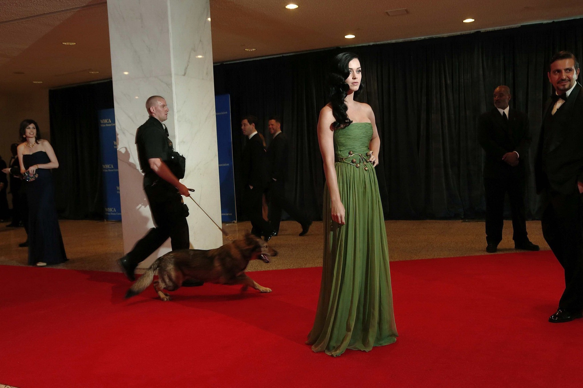 Katy perry con maxi vestido verde sin tirantes en la fiesta de corresponsales de la casa blanca
 #75234077