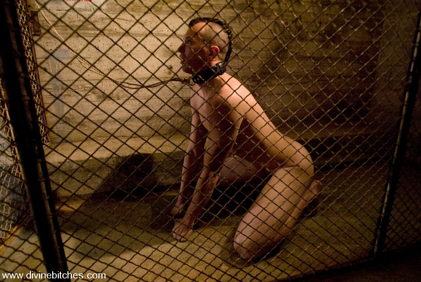Bad ass dominatrix hobbles dogboy and reams him in the ass with her fist #72139118