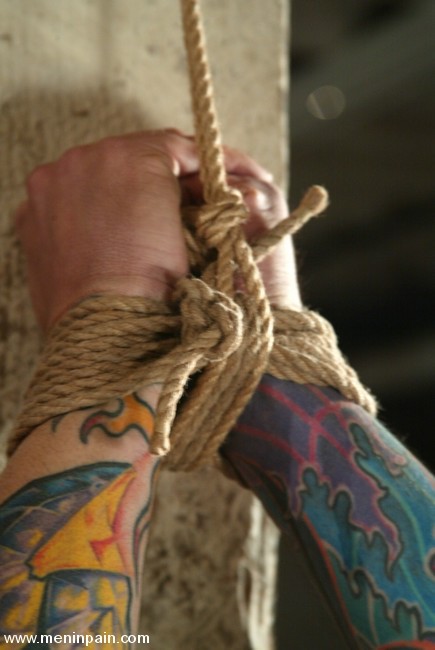 Un esclave mâle tatoué se soumet à une maîtresse sauvage dans un donjon
 #72226794