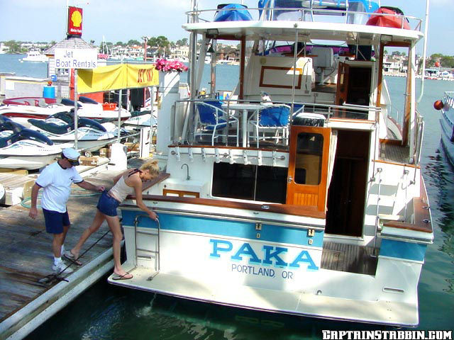 Perfect ass babe rocks with the captain and the crew #69012339