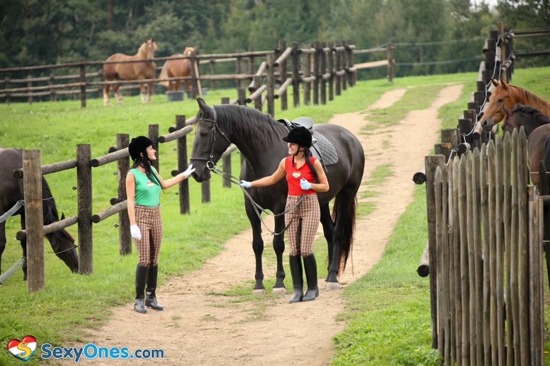 Two horse riders licking and fucking #72503842