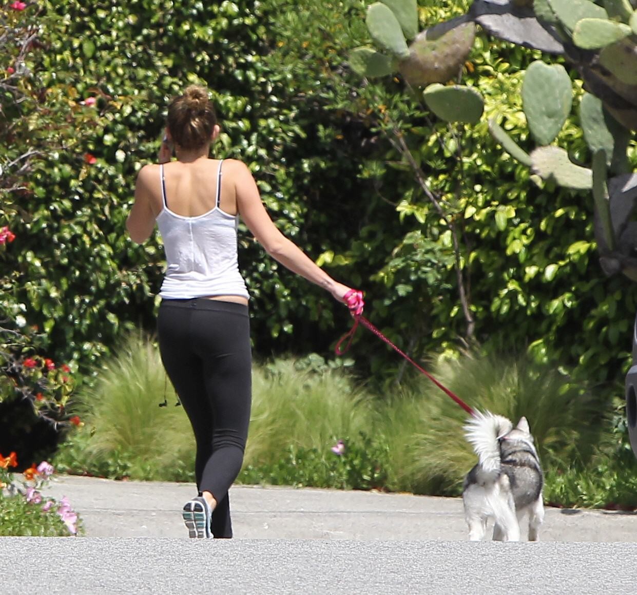 Miley Cyrus en train de courir avec son chien à Toluca Lake.
 #75267632