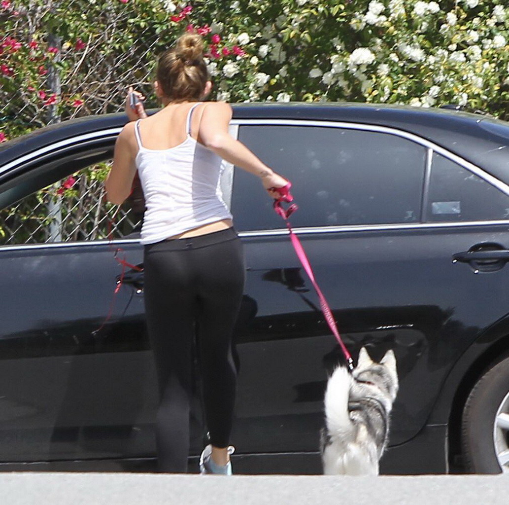 Miley Cyrus see through to bra while running out her dog in Toluca Lake #75267637