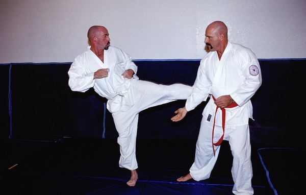 Gay karate #77010622