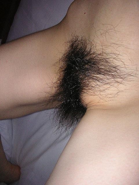 very hairy amateurs posing nude #67447340