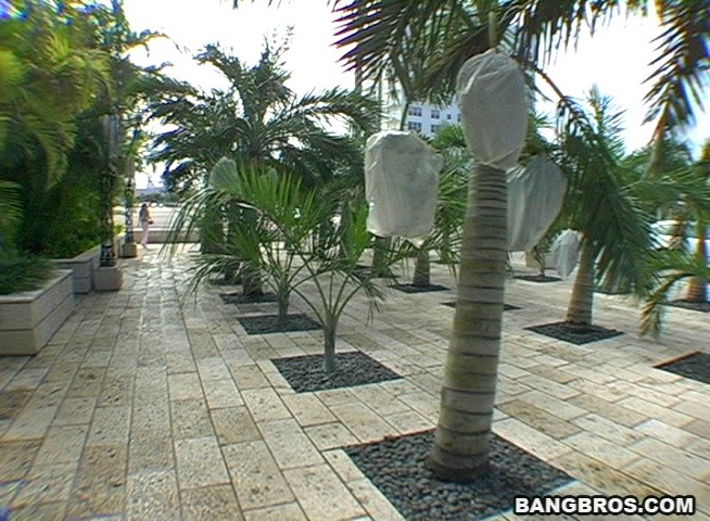 greased up tits sway as carla and her friend share large cocks #76716164