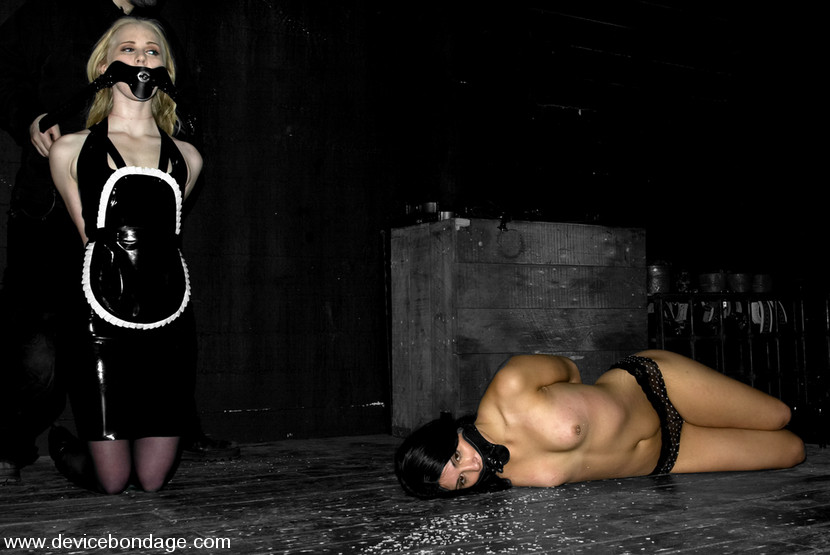 Claire adams submits im ein hard core leben 3 babe bdsm veranstaltung #72197426