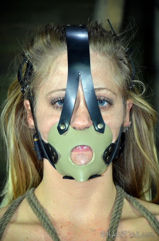 PD sets her up and Elise Graves knocks her around. That is the forecast for Hol #72012076