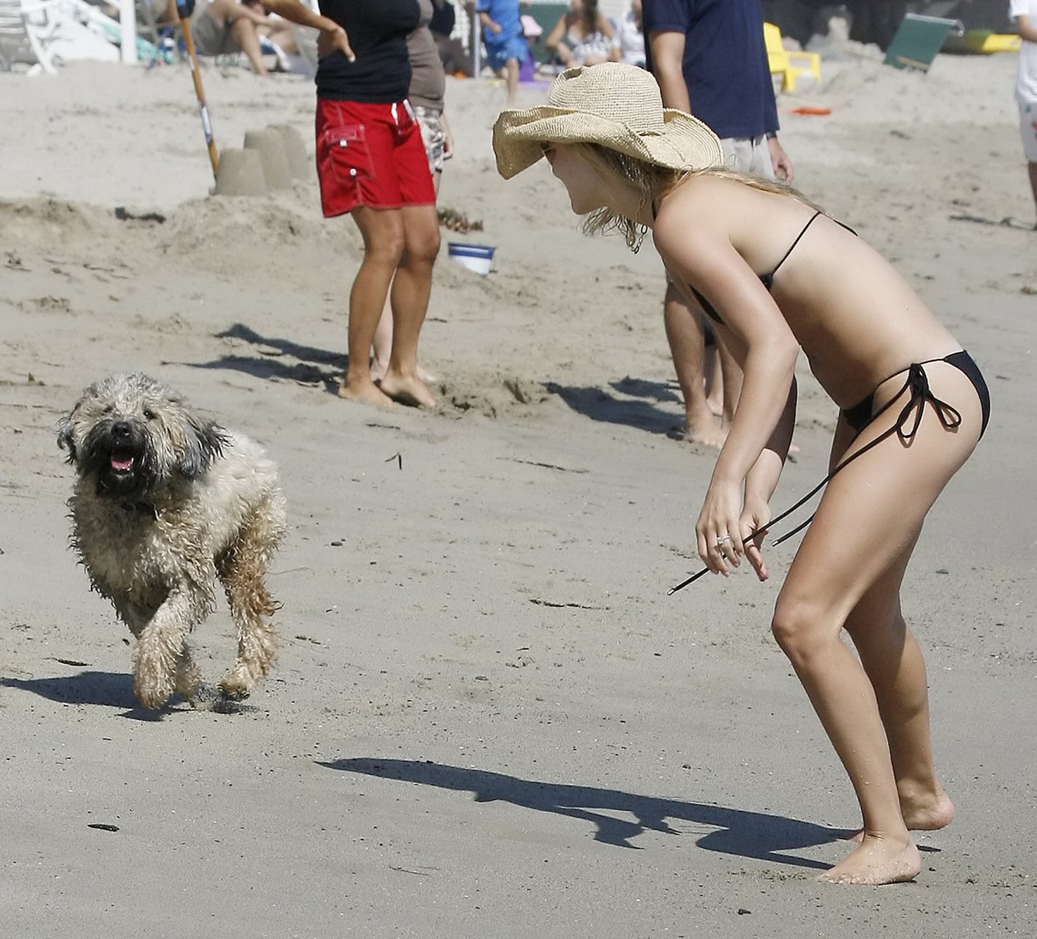 Ali larter portant un minuscule bikini noir à la plage de Miami
 #75231796