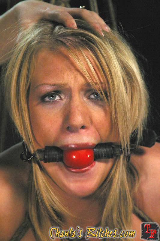 Heiße Blondine beißt auf den Knebelball, während ihre lesbische Herrin ihr ein l beibringt
 #72205687