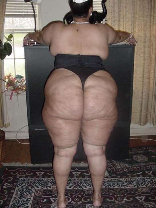 huge ladies showing their big cellulite asses #67323162