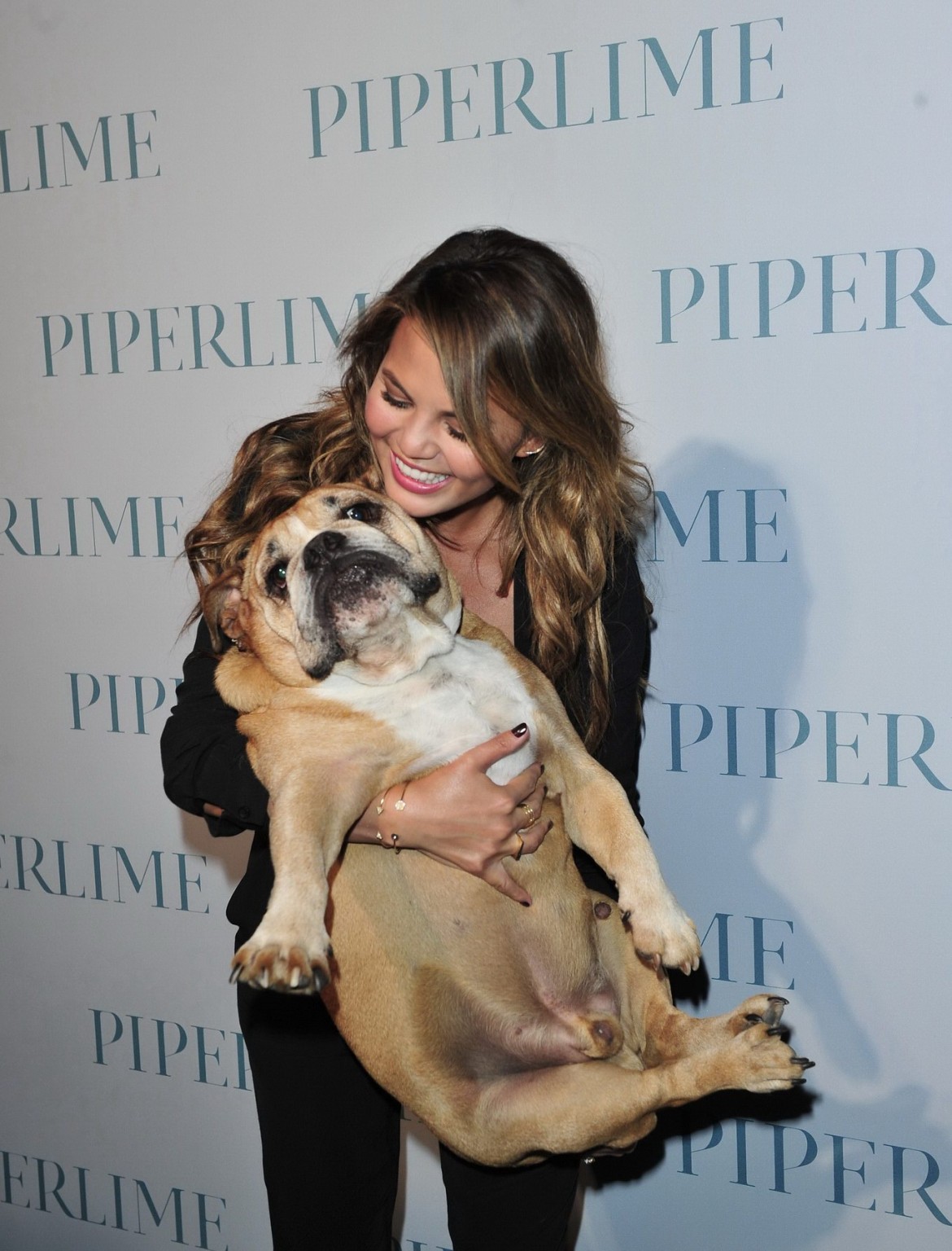 Chrissy teigen sans soutien-gorge et décolleté caressant deux vilains bulldogs à la nouvelle piperlime co.
 #75184374