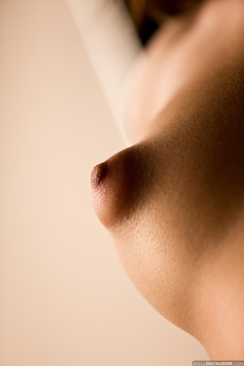 Perky erotische teen babe necken in ihrem Höschen
 #71221431